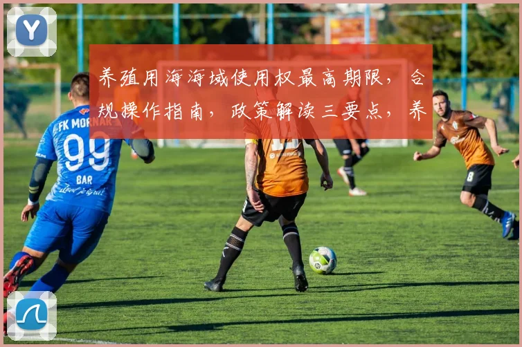 养殖用海海域使用权最高期限，合规操作指南，政策解读三要点，养殖户必看