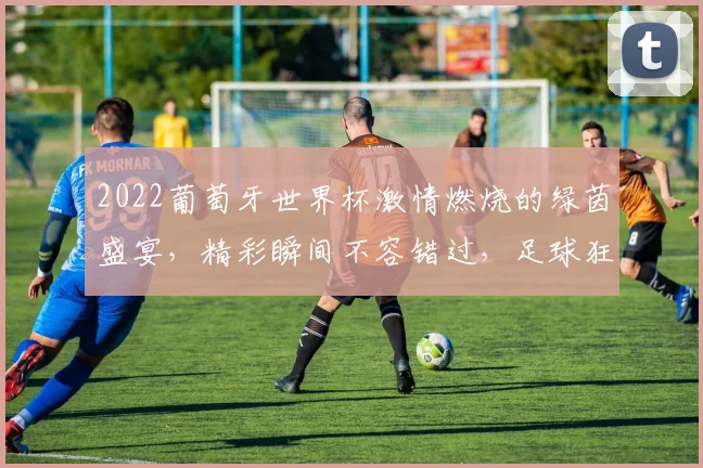 2022葡萄牙世界杯激情燃烧的绿茵盛宴，精彩瞬间不容错过，足球狂欢等你来